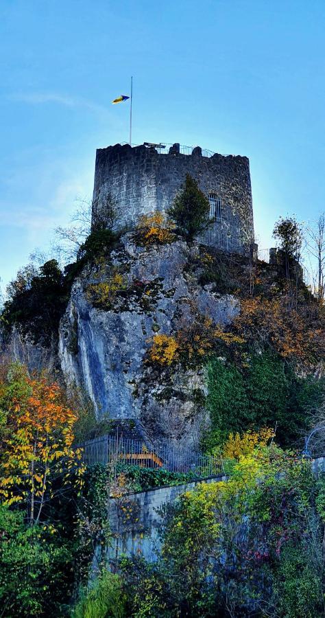 Les Afforets La Roche-sur-Foron Exterior photo