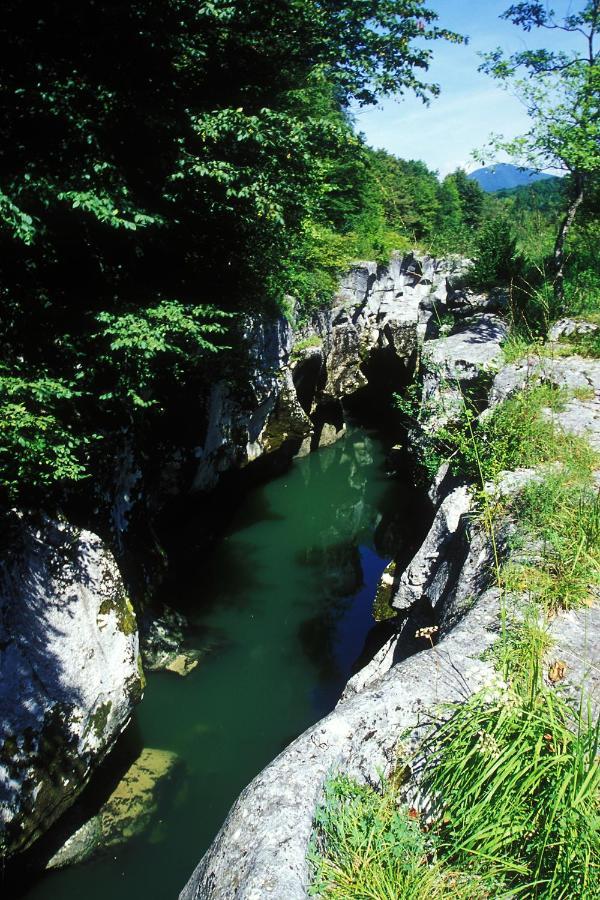 Les Afforets La Roche-sur-Foron Exterior photo